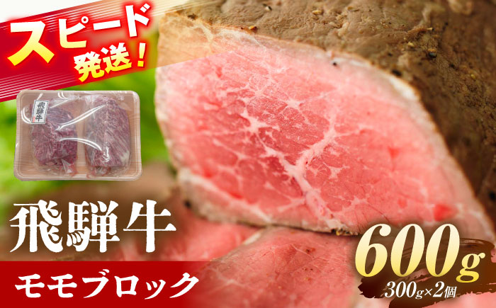 飛騨牛 モモ ブロック 600g (300g×2個) 瑞浪市 / 養老ミート 冷凍 赤身 和牛 ギフト [AZDB009]