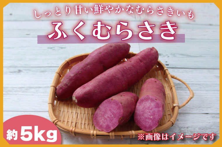 2024年度産 しっとり甘い鮮やかな紫いも 『ふくむらさき』約5kg(BZ-36)