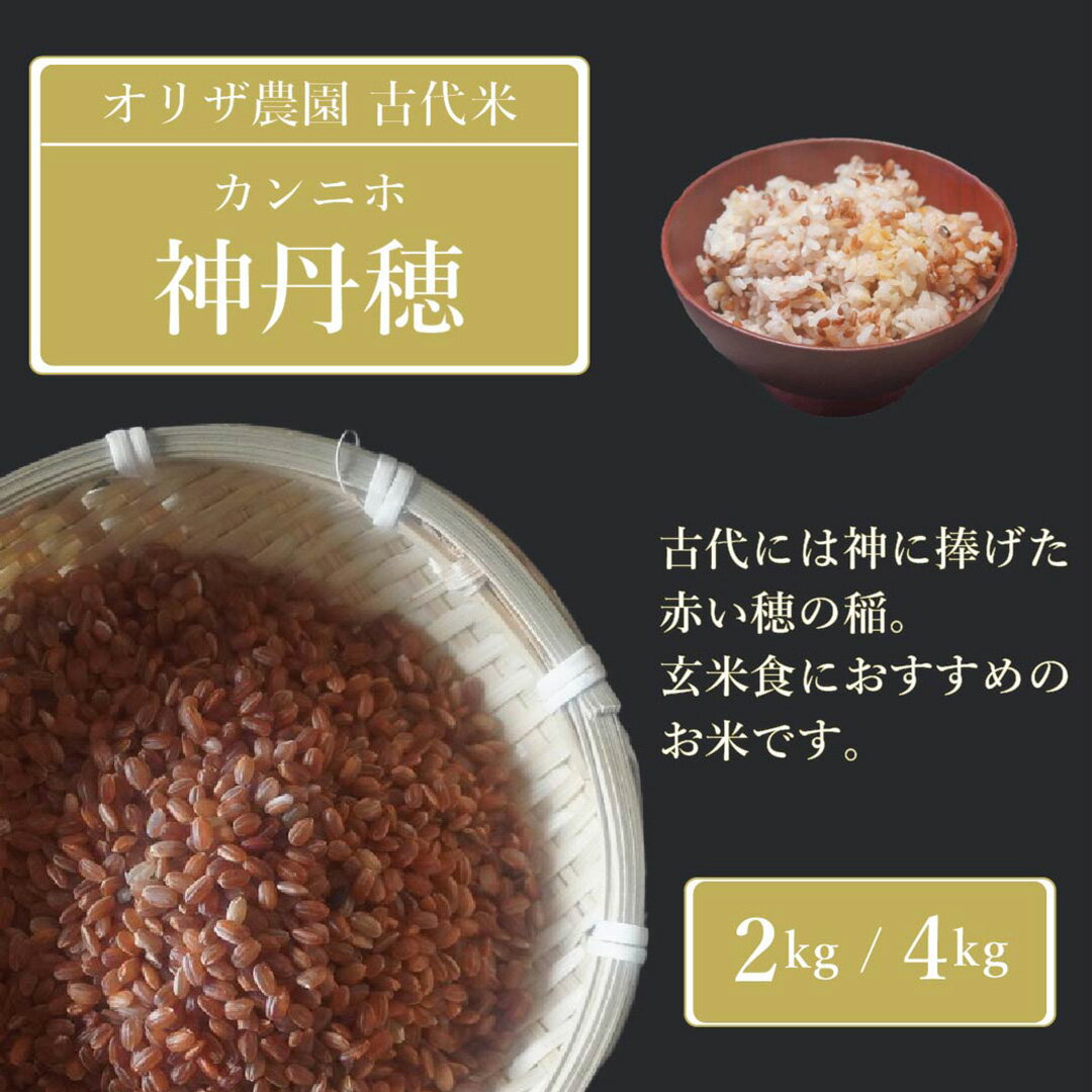 【ふるさと納税】数量限定！オリザ農園 自然栽培の古代米「神丹穂(カンニホ)米」2kg/4kg(2kg×2袋) 2025年新米　炊き方も簡単、雑穀のように白米に混ぜるだけで美味しく簡単に栄養をプラス【長野県信濃町】