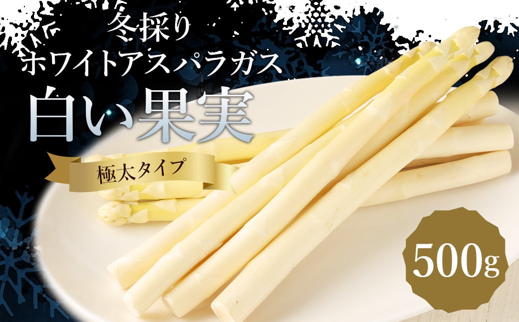 
            まるで果実!? ホワイトアスパラガス 極太（500g）【2026年2月上旬より発送開始】／アスパラ アスパラガス 野菜 白い果実 新鮮 産地直送 旬の野菜 お取り寄せ 国産
          