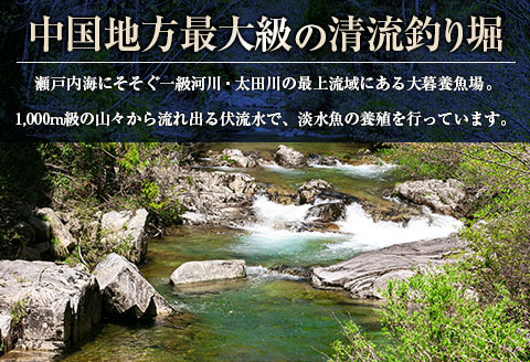 釣り堀 体験 チケット 釣り放題 1時間 大暮養魚場 アマゴ10匹付き