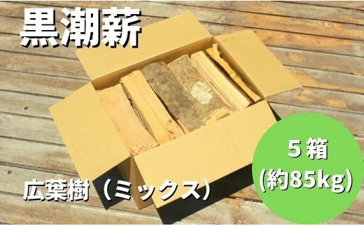 
            黒潮 薪 5箱 約85kg コース キャンプ 焚き火 焚火 薪ストーブ アウトドア バーベキュー BBQ 家庭用 広葉樹 ミックス 椎 樫 天然 ふるさと納税薪 ［1605］
          