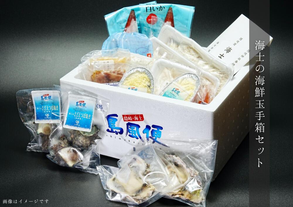 【ふるさと納税】海士の海鮮玉手箱セット 海士町の美味しいもの 詰め合わせ いわがき 岩牡蠣 白いか ケンサキイカ スルメイカ スルメ さざえ 唐揚げ アジフライ