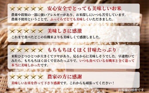 JAS有機米 天のつぶ 米5kg | 令和7年産 根本有機農園【53870-002-02】