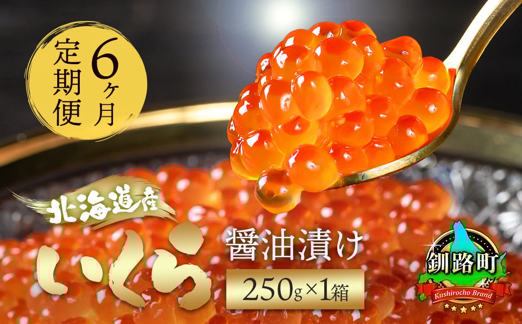 
            【定期便 6ヶ月連続】北海道産 いくら醤油漬け 250g ×1箱 小分け | 国産 いくら いくら醤油漬 しょう油 しょうゆ イクラ ikura 小分け 天然 鮭 鮭卵 鮭いくら 魚卵 冷凍定期便 魚介類 海鮮 絶品 人気 一人暮らし おかず 笹谷商店 直営 釧之助本店 高級 ギフト 贈答用 贈答品 北海道 釧路町 釧路超 特産品 br04
          