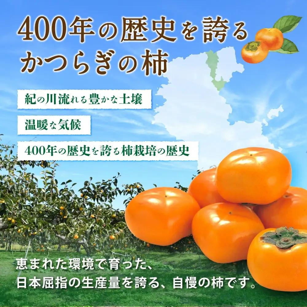 柿 【贈答用秀品】和歌山県産 平核無柿8～13玉【10月上旬から11月上旬頃順次発送】【MG4w】【S96005-mtgn049】