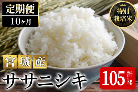 【10ヶ月定期便】ササニシキ100kg+5kg ta230【JA新みやぎ】