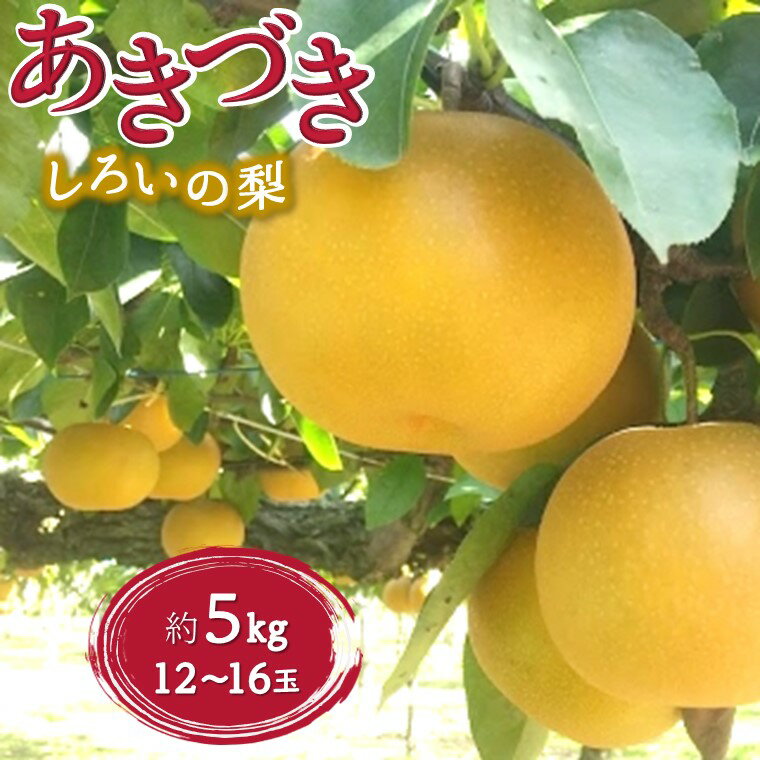 【ふるさと納税】【今秋収穫分】あきづき 梨 5kg 12～16玉 予約受付 しろいの梨 甘い 美味しい フルーツ 幸水 豊水 新高 果物 名産 特産品 おすすめ ジャム ジュレ ジュース
