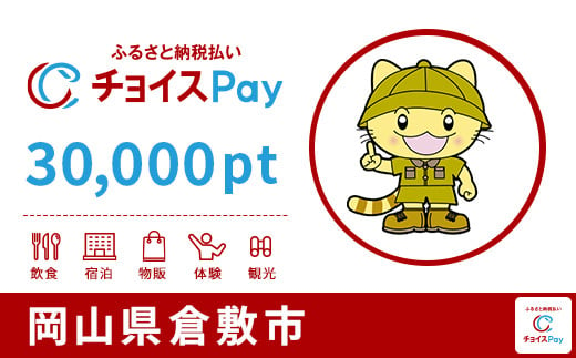 
倉敷市チョイスPay 30,000pt（1pt＝1円）【会員限定のお礼の品】
