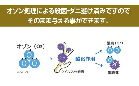 鹿の角 エゾシカ 犬のおもちゃ 『鹿角さん』 小型犬用　半割り　2本セット