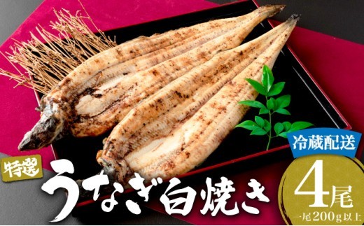 ＜順次配送＞うなぎ白焼き 800g (200g×4尾) ／うなぎ 鰻 ウナギ 蒲焼 蒲焼き 土用 丑の日 特選 肉厚 たれ 国産 ふるさと 鰻丼 鰻重 うな重 うなぎたれ ギフト 贈り物 佐賀 佐賀県 送料無料 冷蔵