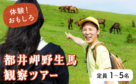 体験！おもしろ『都井岬野生馬』観察ガイドツアー_K042-001