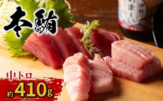 本マグロ 中トロ 410g 冷凍／本マグロ 本鮪 マグロ まぐろ クロマグロ 専門店 ブランド  切り落とし 切り落し 不揃い 規格外 鮪 刺身 刺し身 お刺身 三重県 伊勢志摩  南伊勢町 1000