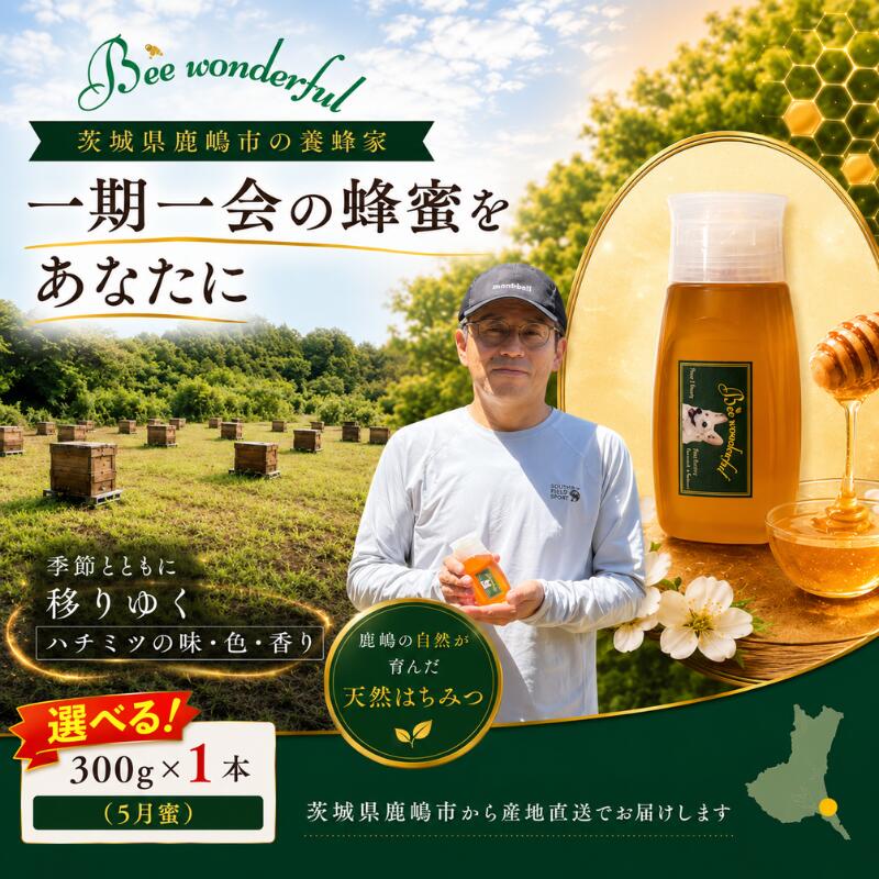 【ふるさと納税】 はちみつ 【選べる】 5月蜜 6月蜜 7月蜜 百花蜜 養蜂 自家採蜜 非加熱 添加物不使用 蜂蜜 産地直送 300g×1個 贈答用 贈答 ハニー 国産 プレゼント 一期一会 ギフト 栄養 自然のめぐみ 日常使い ふるさと納税 茨城県 鹿嶋市