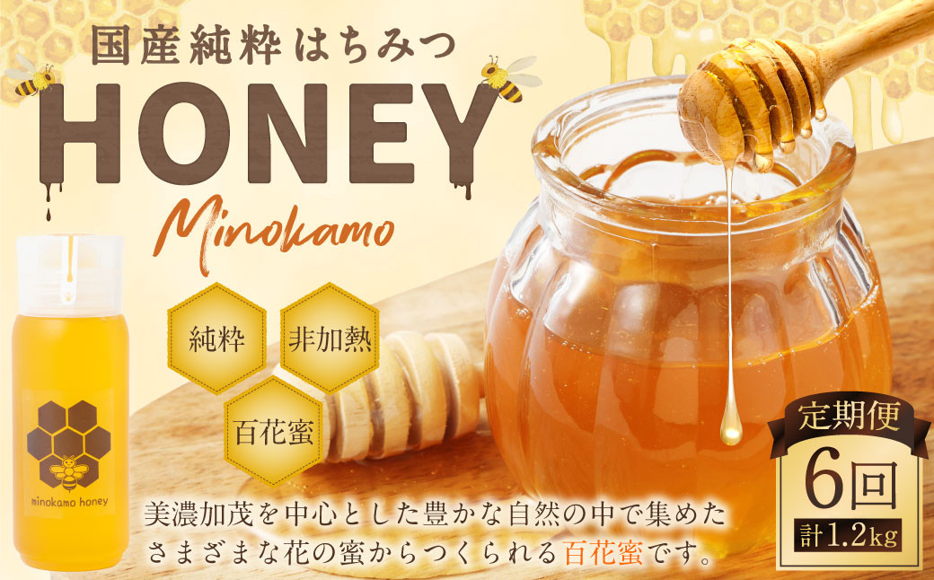 
            【6ヶ月定期便】MINOKAMO HONEY はちみつ 1本（200g）×6回 ｜ 藤井養蜂 蜂蜜 非加熱 百花蜜 国産 純粋 定期便 岐阜
          