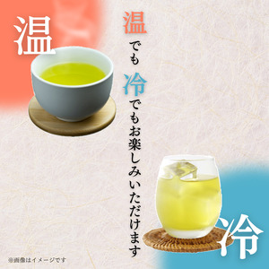【贅沢宇治茶】たっぷり5g使用！本格緑茶ティーバッグ  30包 6袋 宇治茶 お茶 茶 茶葉 日本茶 