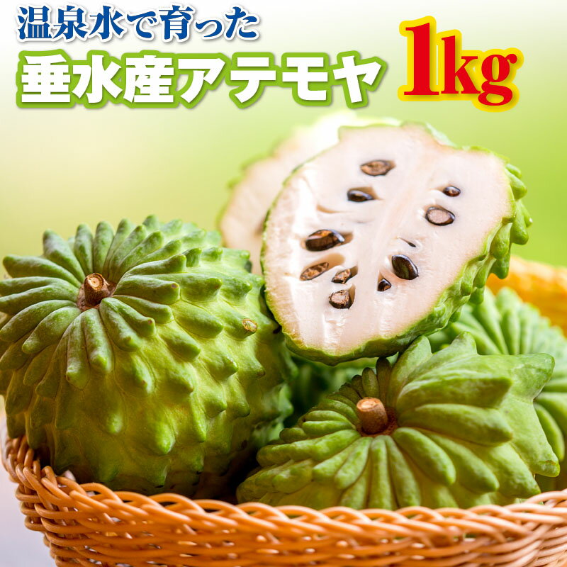 【ふるさと納税】 【秀品】フルーツ アテモヤ 1kg 2〜4玉でお届け 期間限定 果物 森の アイスクリーム と呼ばれる甘くてなめらかな食感の トロピカルフルーツ トロピカル 南国 チェリモヤ バンレイシ 珍しい 鹿児島県 【財宝】A1-22550