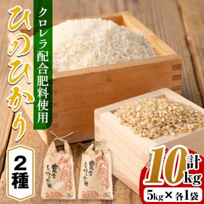 ふるさと納税 出水市 【白米+玄米】クロレラ米(ひのひかり)10kg_I872-C
