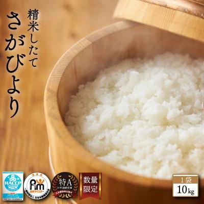 ふるさと納税 鹿島市 【令和7年産】佐賀県産 さがびより 白米 10kg