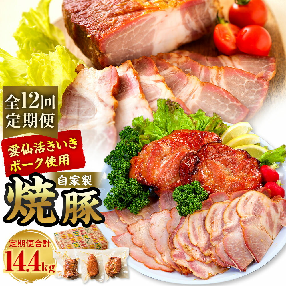 【ふるさと納税】【全12回定期便】自家製焼豚 計1.2kg（400g×3個） セット チャーシュー 豚肉 お肉 タレ 醤油 生姜 ニンニク 惣菜 冷蔵 長崎県産 国産 九州 長崎県 長崎市 送料無料