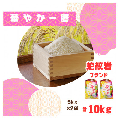 2025年10月以降発送【蛇紋岩ブランド　華やか一膳10kg】【1450994】