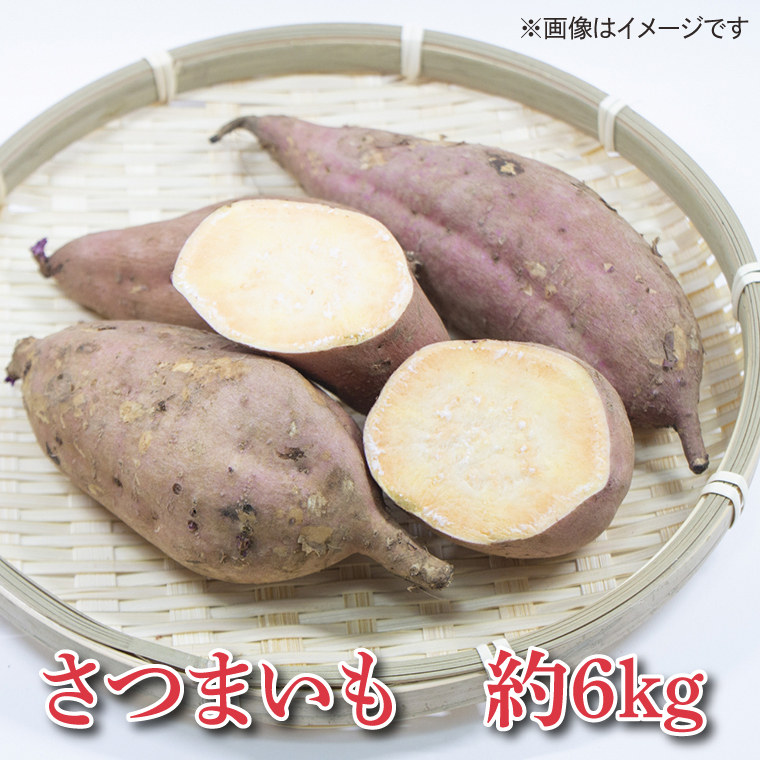山﨑観光農園の安納芋 約6kg ｜栃木県 益子町 ふるさと納税 里山 熟成 さつまいも 安納芋 プレミアム 蜜芋 (AU013)