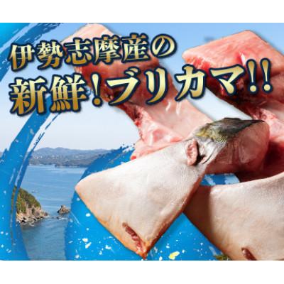 ふるさと納税 南伊勢町 【毎月定期便】伊勢志摩産 ブリカマ 1kg BBQ、煮付、炭火焼がオススメ 真空冷凍 新鮮な鰤全2回