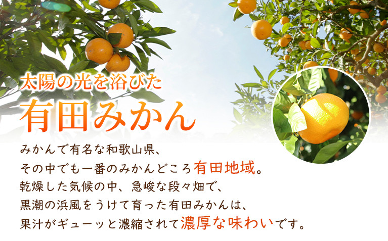 ［先行予約］家庭用 小さな有田みかん2.5kg+250g（傷み補償分）［2026年10月初旬から2027年1月末日頃順次発送予定］［IKE246］