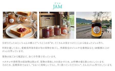 grandpa's tree 「手作りフルーツジャム」 5個セット　ジャム フルーツ 手作り グランパスツリー ギフトボックス 西条市 愛媛県