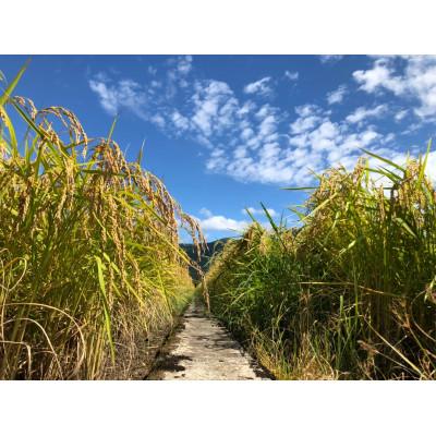ふるさと納税 五泉市 令和7年産 特別栽培米 隠れたお米の名産地!新潟県五泉産コシヒカリ「南郷米」玄米6kg |  | 03