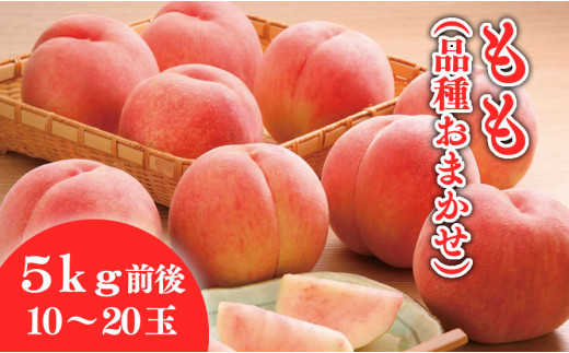 08-01-032　もも(品種おまかせ)5kg
