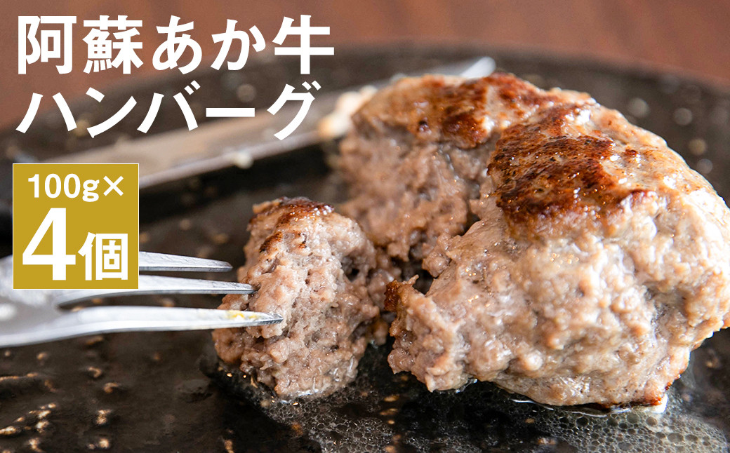 阿蘇 あか牛 ハンバーグ 200g × 2セット 合計 4個 400g 《90日以内に出荷予定(土日祝除く)》 牛肉 牛---133-2112---st-p