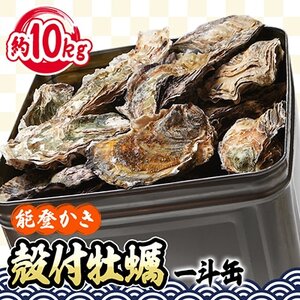 能登牡蠣 殻付 牡蠣 一斗缶/約10kg(約80～100個)専用ナイフ、片手用軍手付　※加熱用【配送不可地域：離島・北海道・沖縄県・東北・中国・四国・九州】【1053617】