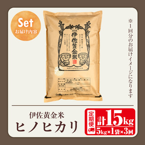 isa601 《数量限定・3回定期便》令和7年産 小北農場のお米 伊佐黄金米〈ヒノヒカリ〉(計15kg・5kg×1袋×3回) 鹿児島 伊佐 お米 特別栽培米 伊佐米 白米 ヒノヒカリ ひのひかり おに