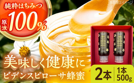 蜂蜜 コハマのハチミツ ビデンスピローサ蜂蜜 500g×2本   BCAQ003