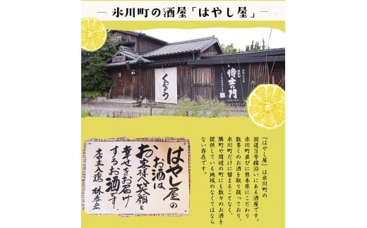 「はやし屋」の晩白柚のお酒 2本セット 《30日以内に出荷予定(土日祝除く)》 熊本県氷川町産---sh_hayashisake_30d_23_13000_2p---