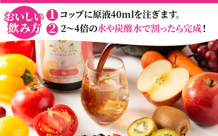 優光泉 梅 600ml×2本 / 酵素ドリンク / 佐賀県 [41AABL007]