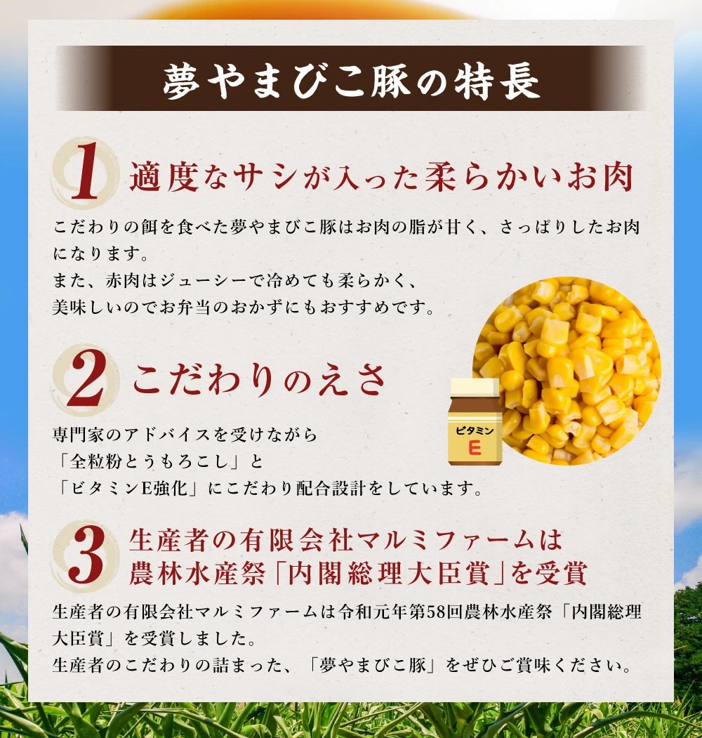夢やまびこ豚の大きな焼売 45g×12個（計 540g）シュウマイ 点心 豚肉 惣菜_イメージ3