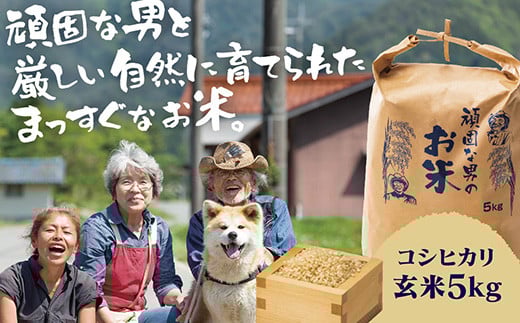 D507 頑固な男のお米（コシヒカリ）玄米5kg