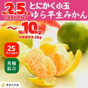 【ふるさと納税】ゆら早生 みかん 小玉ちゃん 箱込 2.5～10kg 2Sサイズ以下 秀優混合 有田みかん 和歌山県産 【みかんの会】 | 和歌山 フルーツ 果物 くだもの かんきつ 柑橘 柑橘類 みかんの会 送料込み 送料無料