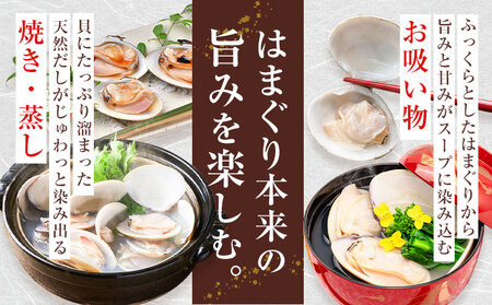 数量限定 天然 活 はまぐり 2kg 1個:40g～100g 寺田水産【配送不可地域：離島・北海道・沖縄県・東北・中国・四国・九州】