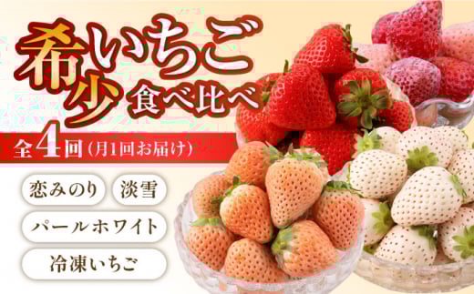【先行予約】【4回定期便】希少いちご 食べ比べ（恋みのり、パールホワイト、淡雪、冷凍いちご） / いちご 食べ比べ 苺 イチゴ こいみのり あわゆき 淡雪いちご 白いちご 冷凍いちご 冷凍 冷凍苺 冷凍イチゴ ヨーグルト フルーツ 果物 甘い あまい  アフター対応 アフターフォロー 期間限定 産地直送 国産 佐賀県産 さがいちご 九州 佐賀県 白石町  白石 [IZZ005]