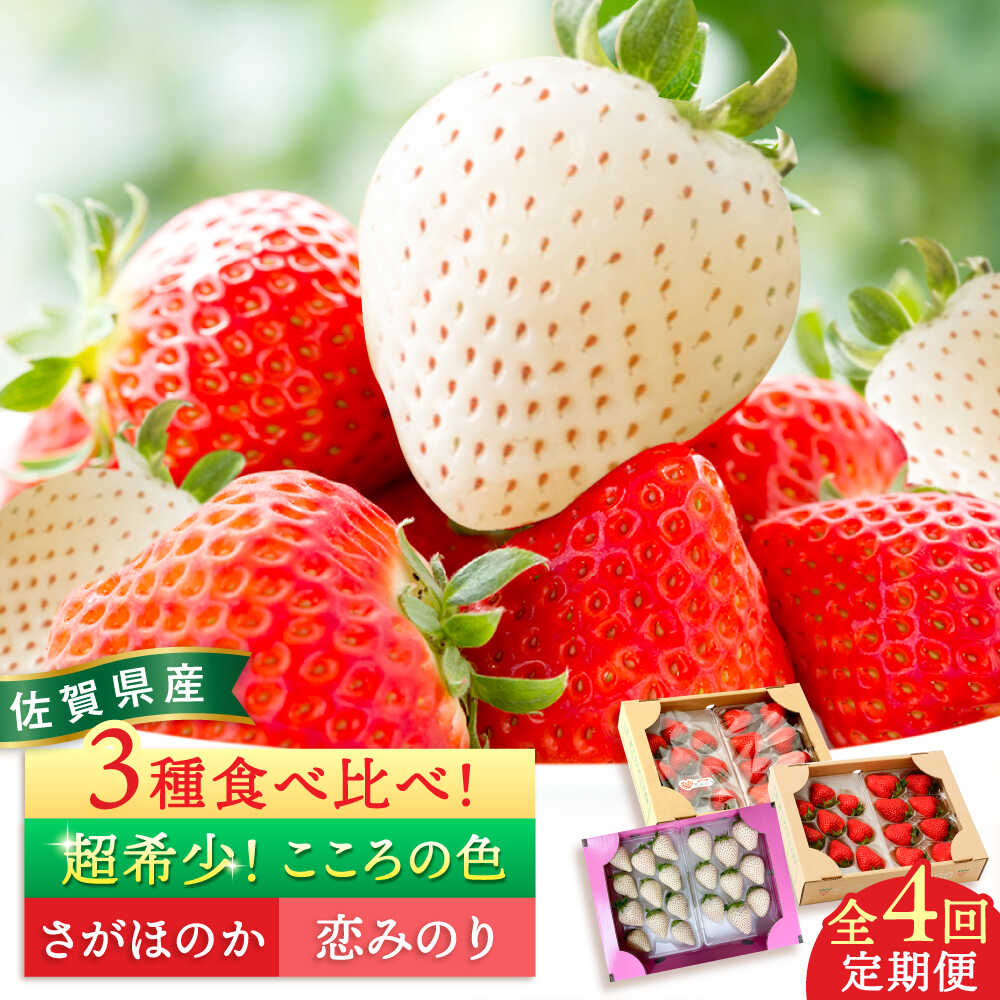 【ふるさと納税】【先行予約】【全4回定期便】さがほのか・恋みのり・こころの色 220g×2パック×4回 / いちご イチゴ 苺 果物 フルーツ / 佐賀県 / 鐘ヶ江農園[41ASBK006]
