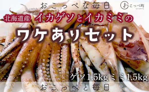 【ワケあり】わけあって!イカゲソとイカミミ