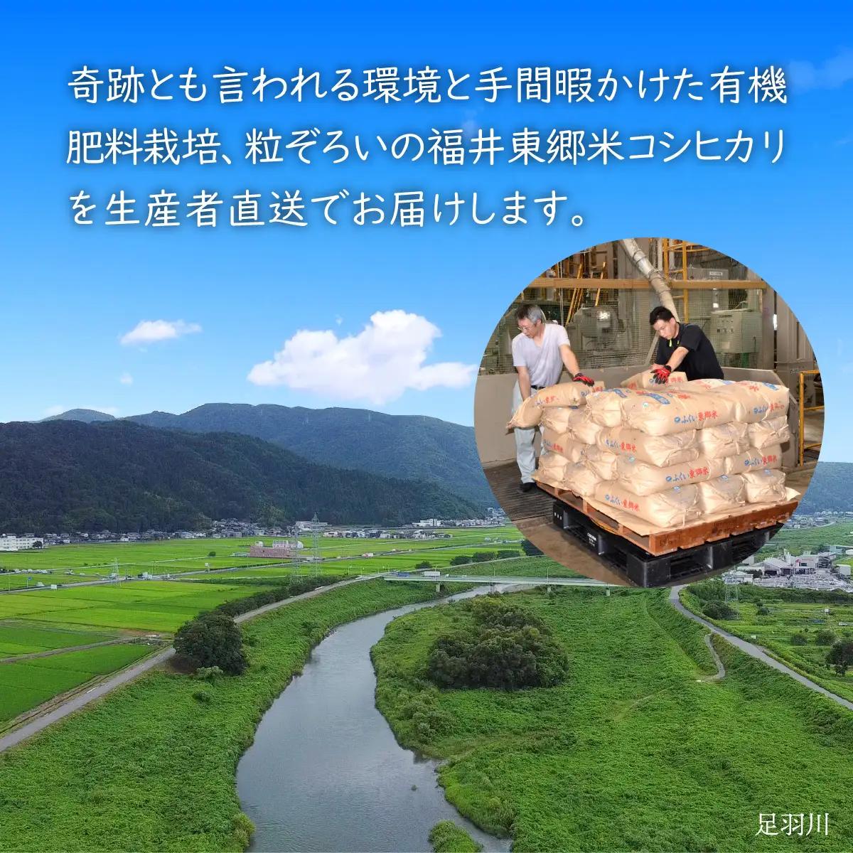 【先行予約】【白米】【定期便6ヶ月連続】令和8年産 新米 ふくい東郷米 特別栽培米 農薬70％減 コシヒカリ 6kg(3kg×2袋)×6ヶ月 合計36kg[J-020023_01]