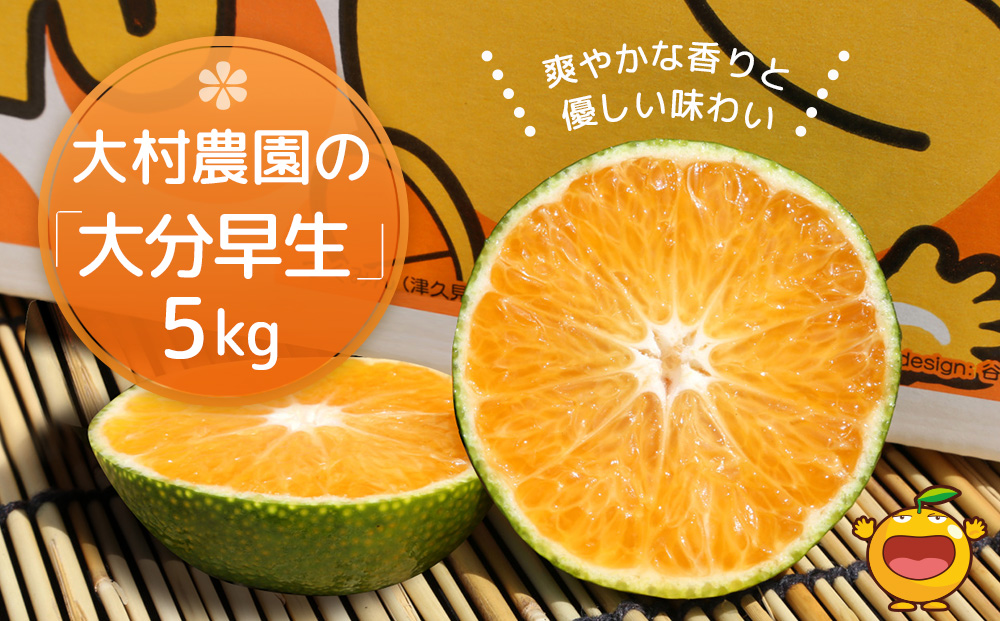 大村農園の極早生みかん おおいた早生 5kg | ミカン オレンジ 果物 大分県 九州 津久見市 国産