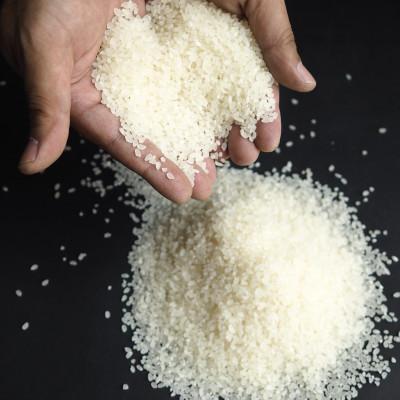 ふるさと納税 南魚沼市 令和6年産　南魚沼塩沢地区「大沢産コシヒカリ」特A米(※)5kg×1袋 |  | 01