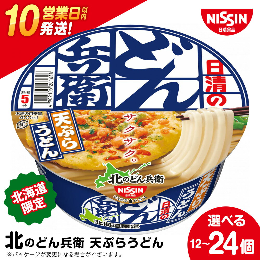【ふるさと納税】 日清 北のどん兵衛 天ぷらうどん 北海道仕様 選べる12個・24個 うどん インスタントラーメン麺 即席麺 麺類 ラーメン カップ麺 インスタント 麺類 カップラーメン 【北海道千歳市】ギフト ふるさと納税