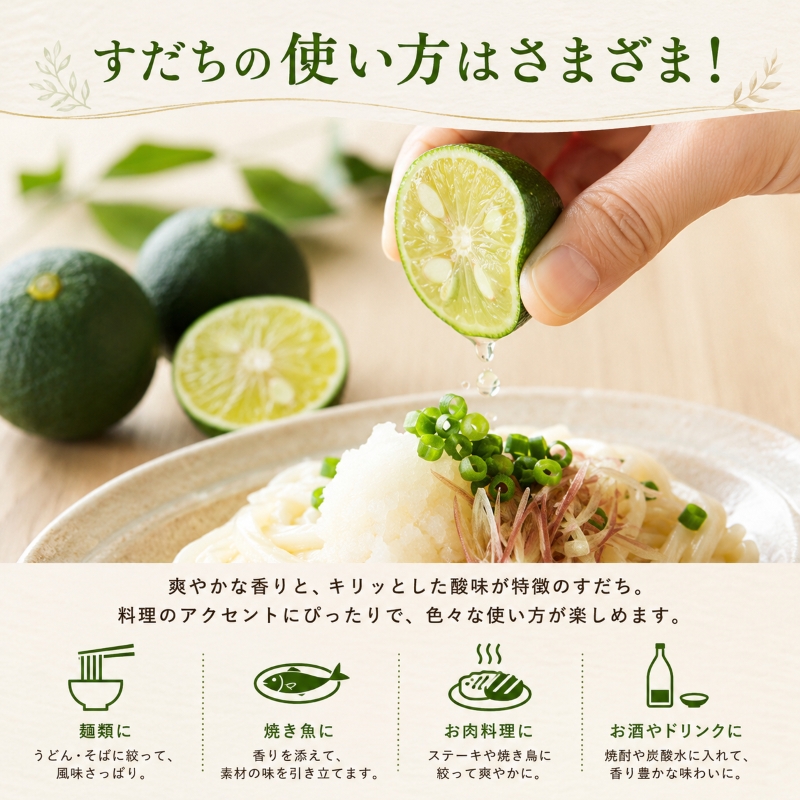 【2026年8月上旬より順次発送】すだち 2.5kg  家庭用 愛媛県産 |  不揃い キズあり 訳あり フルーツ 果物 くだもの 農家直送 スダチ すだち果汁 焼き魚 ぶり しいたけ お酒 酢 旬 