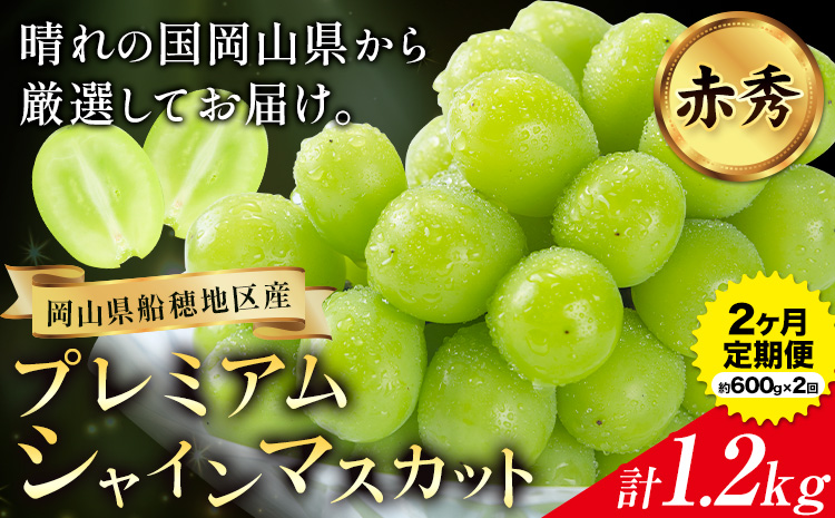 【2026年先行予約】ぶどう プレミアム シャインマスカット定期便 9月 10月発送 船穂 赤秀品 晴王 計1.2kg (約600g×2回お届け) 《2026年9月中旬-10月末頃より出荷予定(土日祝除く)》晴レ乃青果　(岡山中央卸売市場店(富士紙工 有限会社)) マスカット 岡山県 浅口市 フルーツ 果物 【配送不可地域あり】（北海道・沖縄・離島）